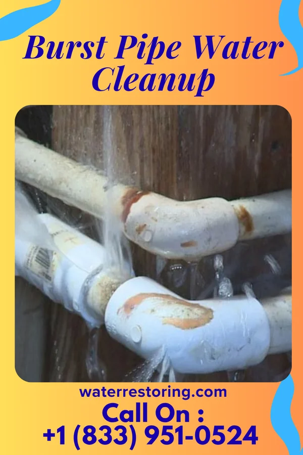 Burst Pipe Water Cleanup in Mountain Village, CO