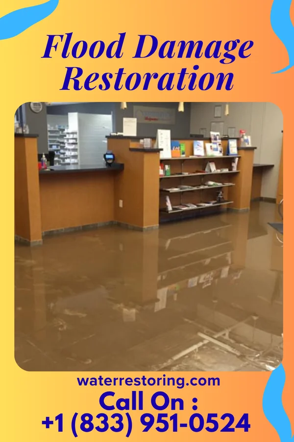 Flood Damage Restoration in Mountain Village, CO